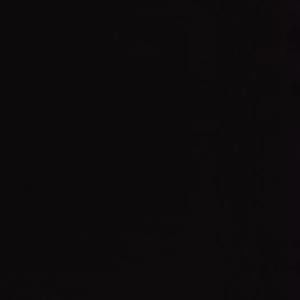 Meet your Posher, Payusu